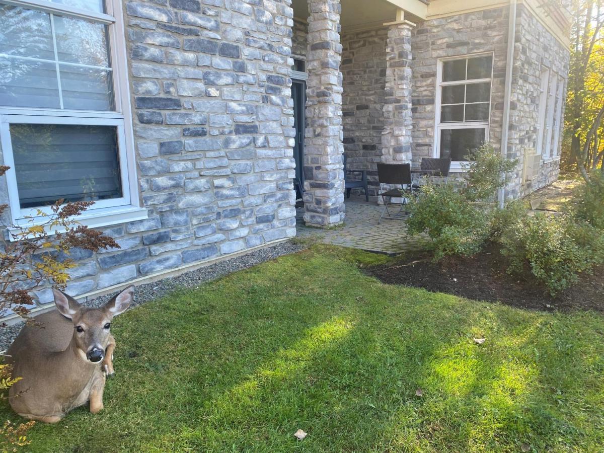 Rental Condo Tremblant-Les-Eaux Mont-Tremblant Eksteriør billede
